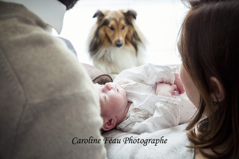 photo famille bébé chien CF Photographe